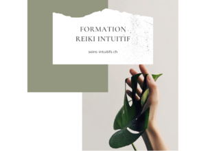 Formation Reiki Intuitif – Isabelle Ruiz-Dammron – Soins-Intuitifs 2