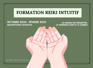 Formation Reiki Intuitif – ird – Isabelle Ruiz-Dammron – Soins-Intuitifs – octobre 2024 – février 2025